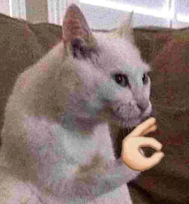 itsmycat.png